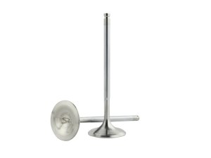 Honda Civic Engine Valve Set - Skunk2 Racing - Alpha Series, Stock Size, Standard Compression - `99-`00